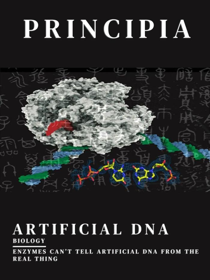 (james watson)和克里克(francis crick)揭示了dna分子的雙螺旋結構