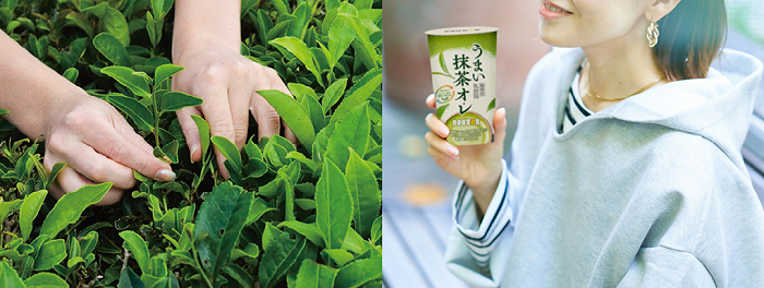 图片来源：Doutor