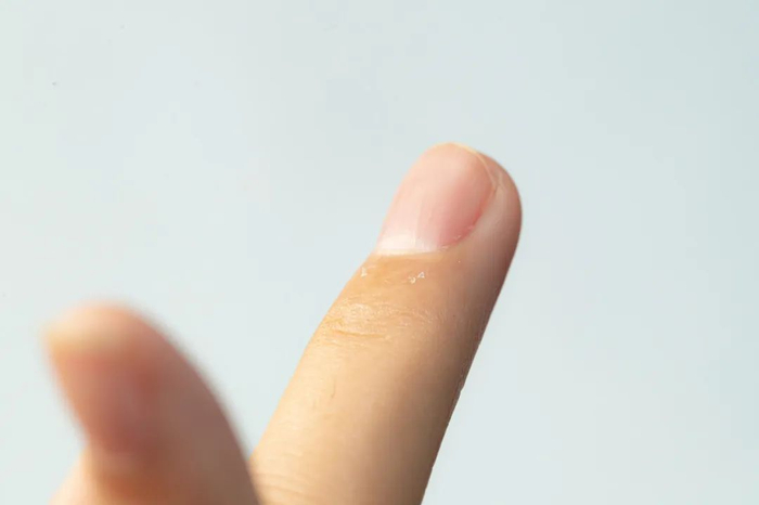 图库版权图片，转载使用可能引发版权纠纷