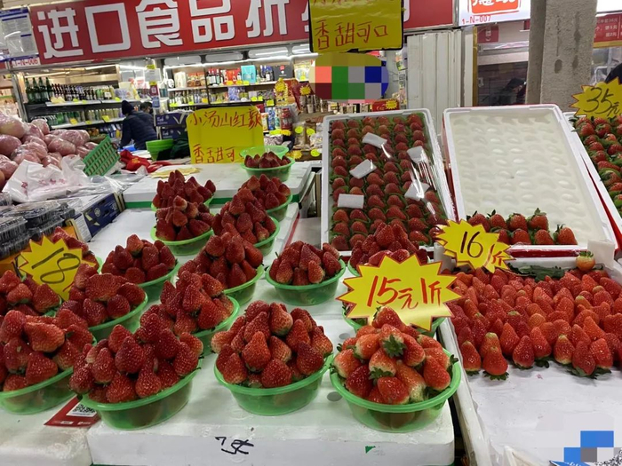 （图/市界摄）