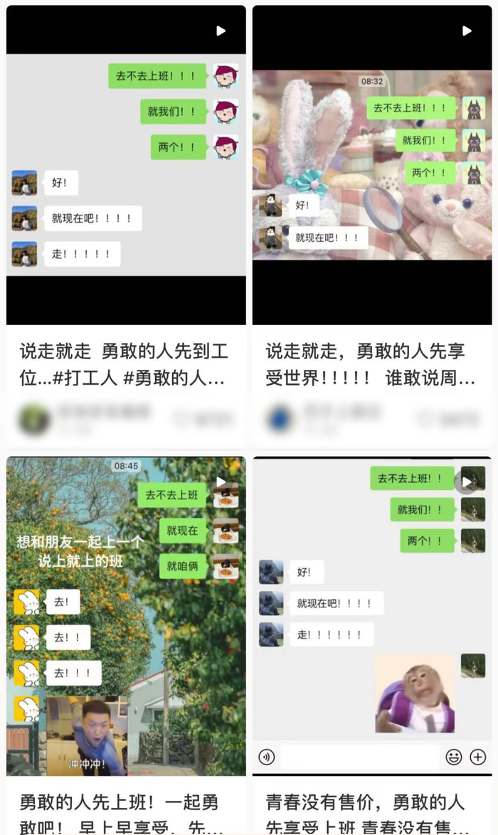 〓 图源：小红书