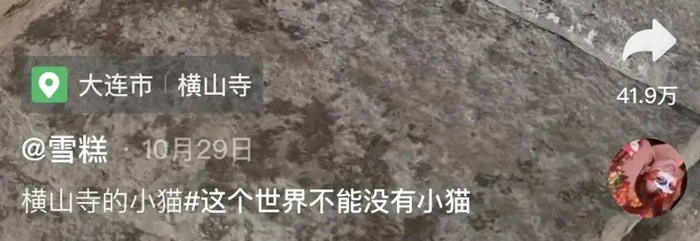 （小孩哥妈妈发布的视频文案）