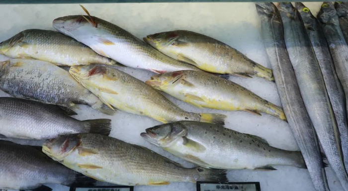 健康时报 曹子豪 摄