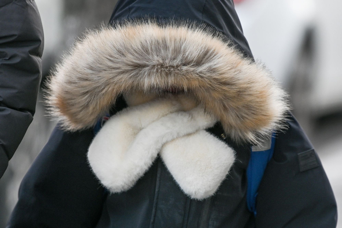 2023年12月21日，上海，小朋友穿着羽绒服，戴着围巾，裹得严严实实去上学。