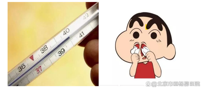 文章仅用于公益科普及学术交流，部分资料和图片来源于网络，如有侵权，请联系删除。