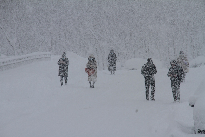 2023年12月22日，山东威海，持续低温造成道路积雪结冰，严重影响交通出行。