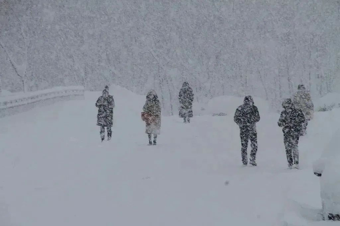 2023年12月22日，山东威海，持续低温造成道路积雪结冰，严重影响交通出行。