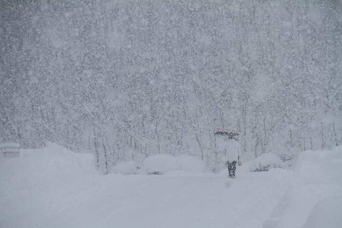  2023年12月22日，“雪窝”山东威海暴雪持续加剧。