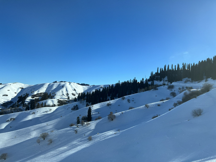 （科技日报记者 付丽丽 摄）