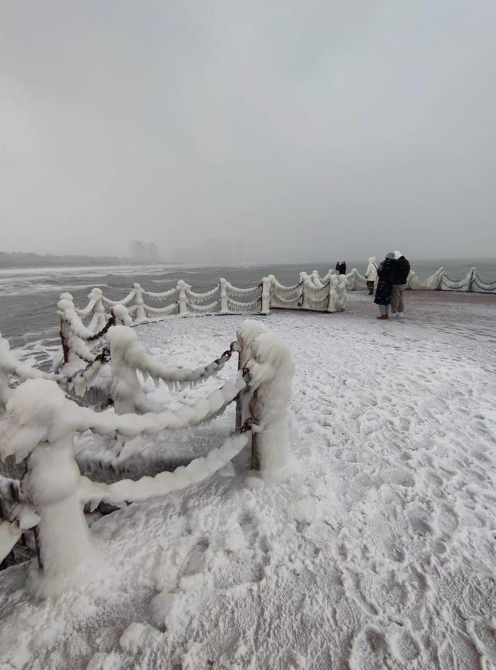 威海大雪图片