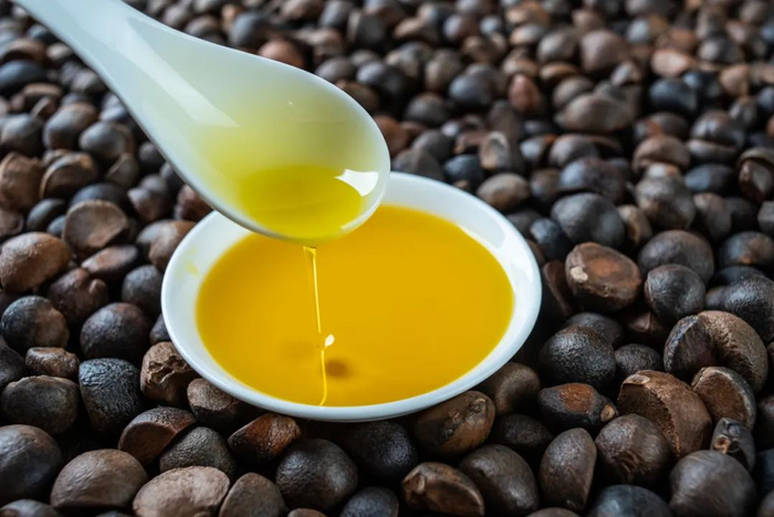 图库版权图片，转载使用可能引发版权纠纷