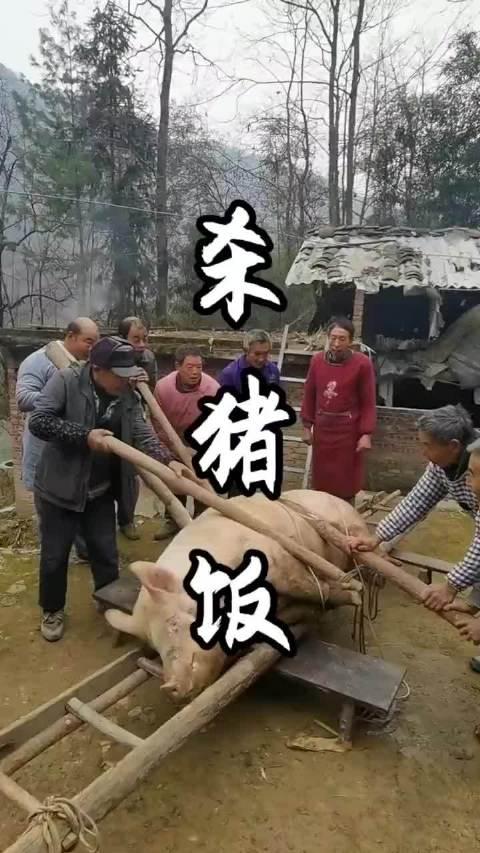 又快要過年啦來看一看農村過年殺年豬的熱鬧場面