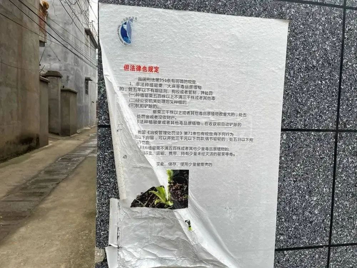 杨桥镇内，贴着的宣传单 图源：时代周报记者 傅一波