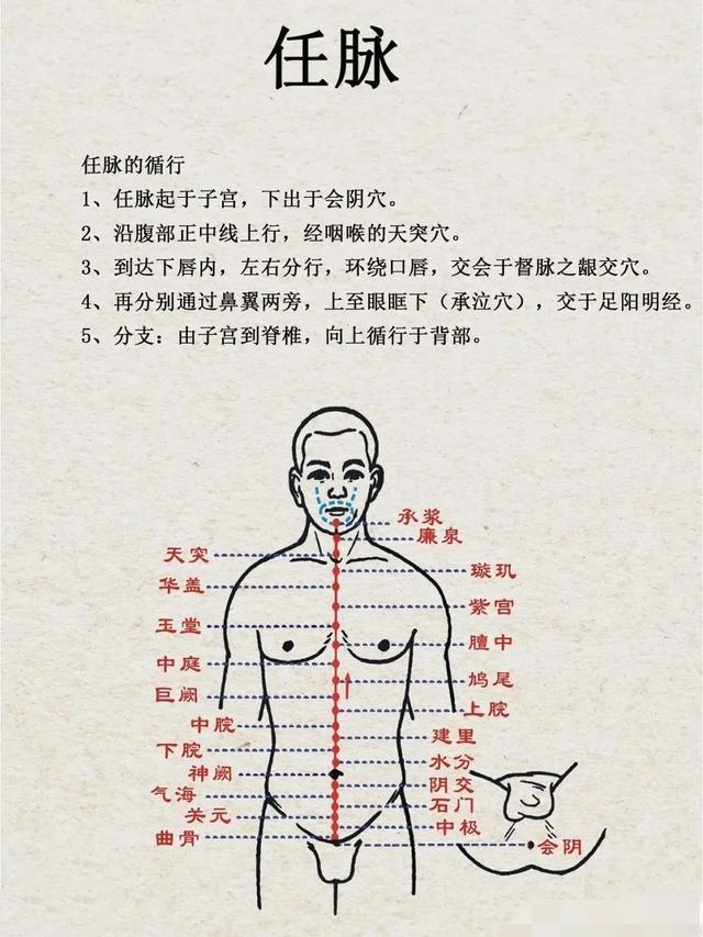 中医奇经八脉图解_新浪新闻