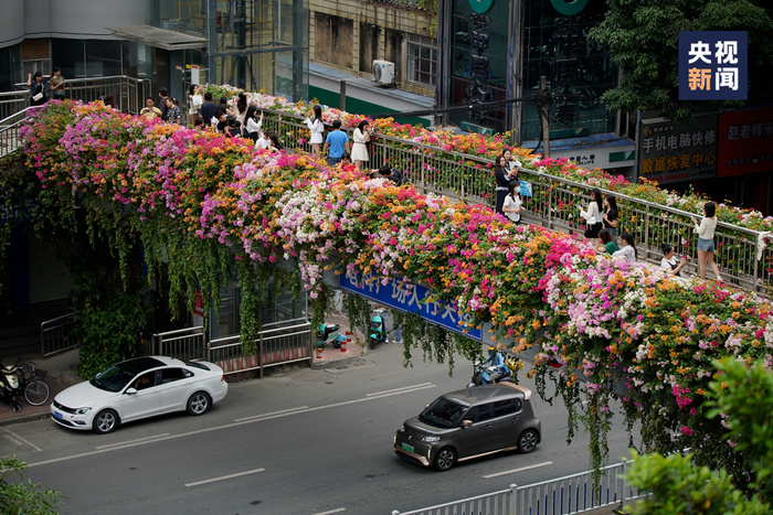 南宁星湖路上火出圈的人行天桥，五颜六色的三角梅簇拥着，犹如五彩“花瀑”，浪漫唯美。图源央视新闻