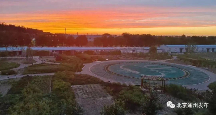       ▲杏林神农百草园基地内部场景     