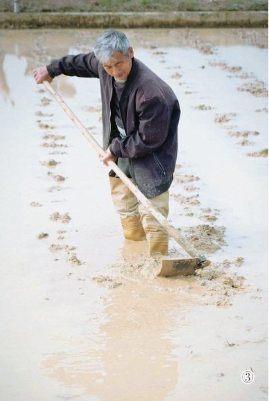 　　③村民劳作。　图片由受访者提供