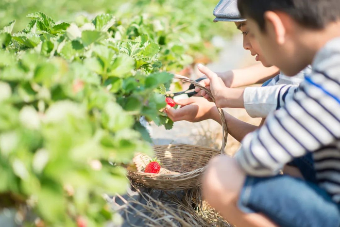 图库版权图片，转载使用可能引发版权纠纷