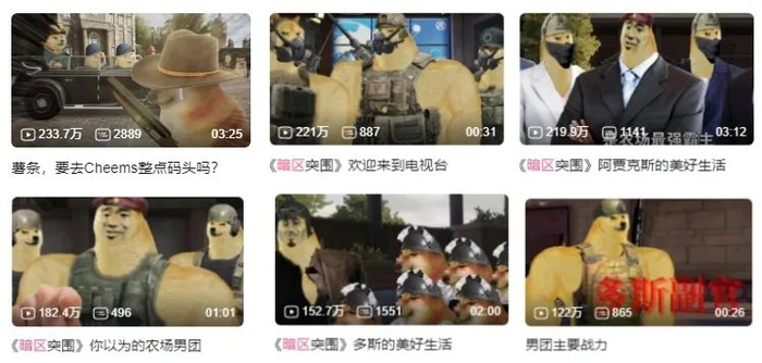  小狗cheems也在暗区形成独特的玩家文化梗