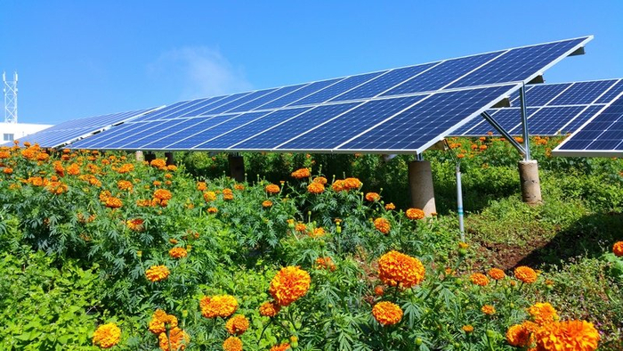 贵州金元威宁么站农业光伏电站便是贵州省首个"农光互补"电站该项目