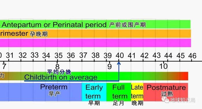 這裡順便補充一個小知識:常說的懷胎10月(40周),往往是從女性末次月經