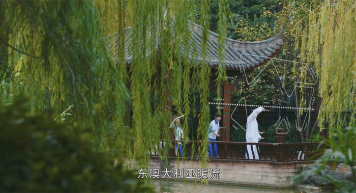 打太极拳边学地理，剧中各种学习方法以看热闹为主。