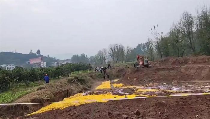事故现场（图源集会）