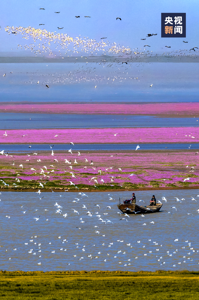 南昌市|景德镇市|鄱阳湖_新浪新闻