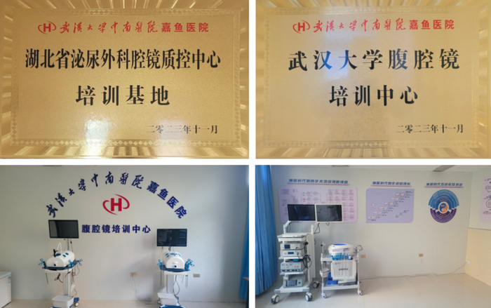 嘉鱼医院学科建设陆续取得成绩