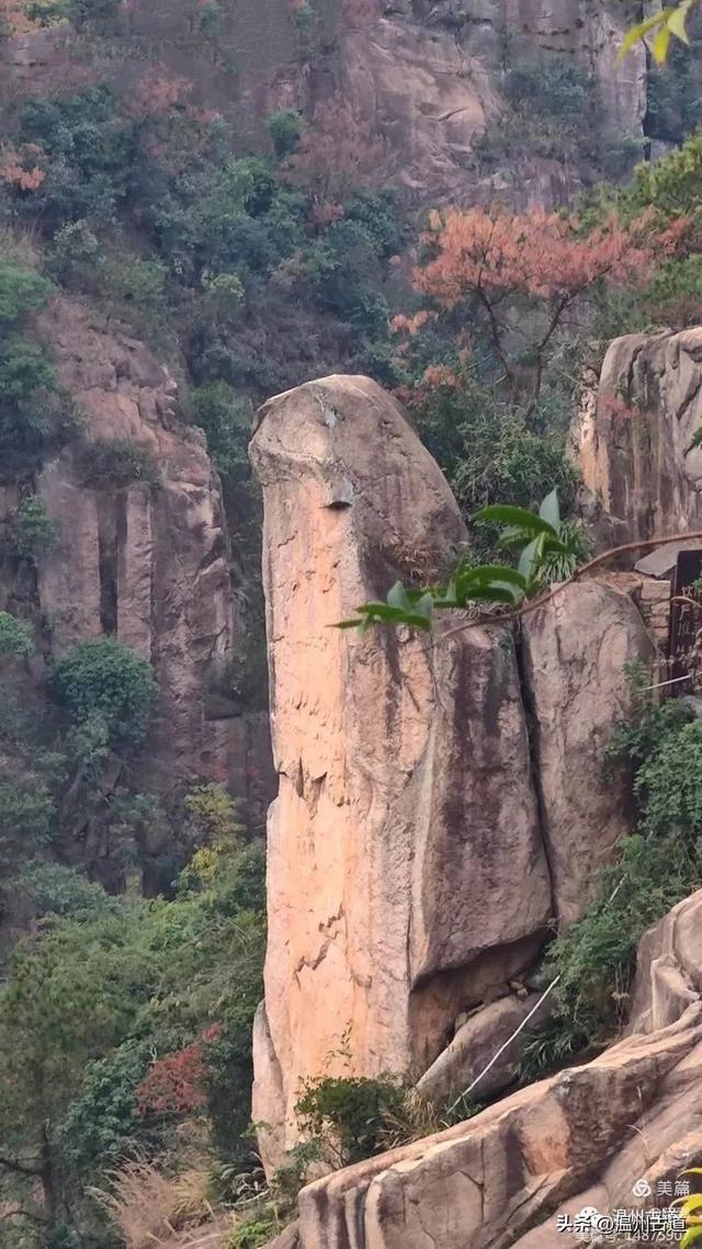 登頂大羅山最高峰,探尋神秘龍脊!|溫州市_新浪新聞