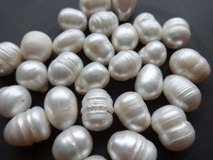 也有不“标准”的珍珠如环形珍珠 图源：wikipedia