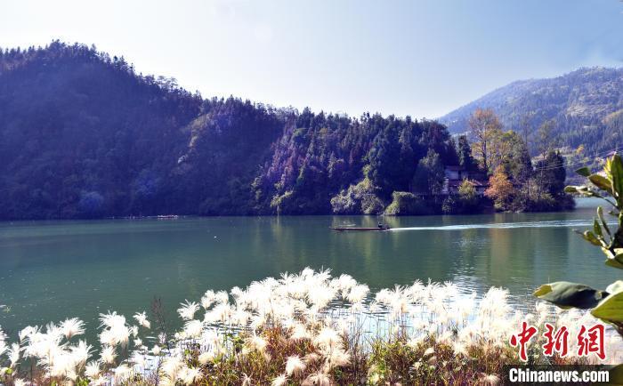 梅樹村自然環境.