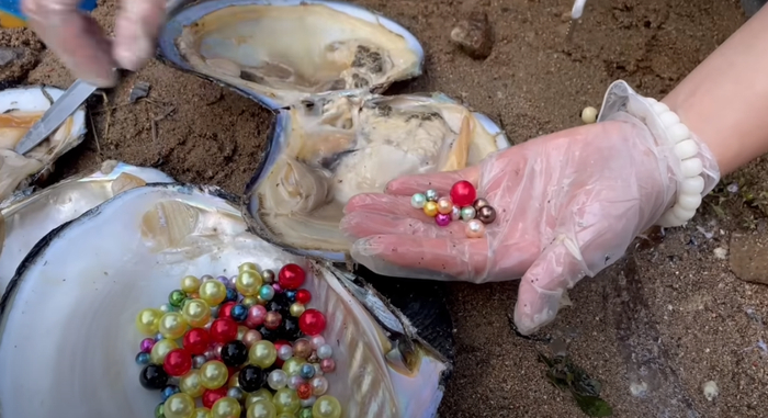 你来说说它们是真的假的 图源：YouTube