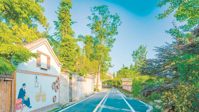     四川省首批乡村振兴示范村—寿安镇岷江村