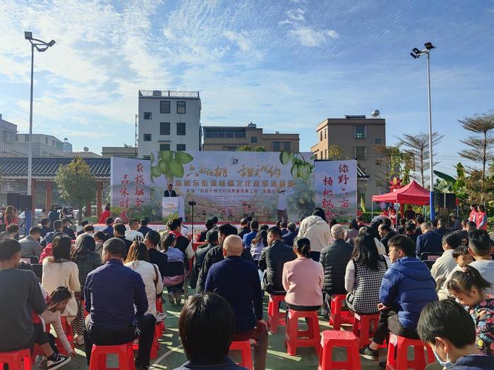 以楊桃為媒培育鄉村品牌潮州市湘橋區橋東街道首屆楊桃文化旅遊美食周