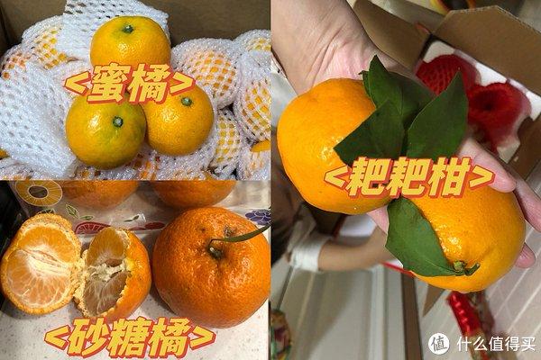 柑橘orange2023年好吃的三款柑橘類推薦回購次數多榮獲我家排名前三