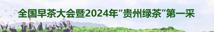 全国各地茶商共聚普安抢春茶品尝来自春天的第一缕茶味