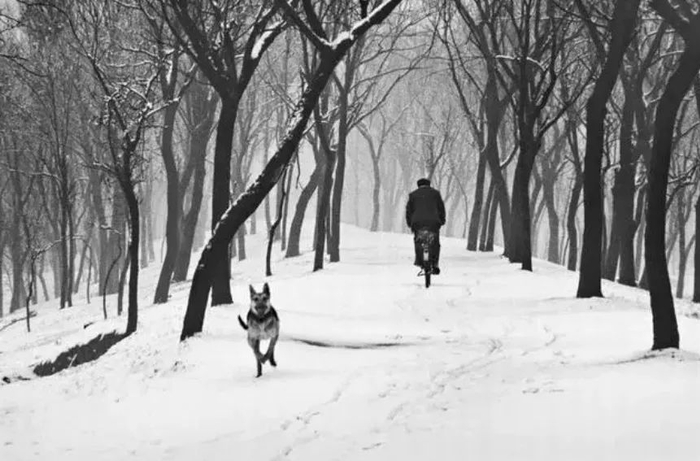 ▲《黄河大堤的冬天》，1963年，河南，朱宪民摄   受访者供图