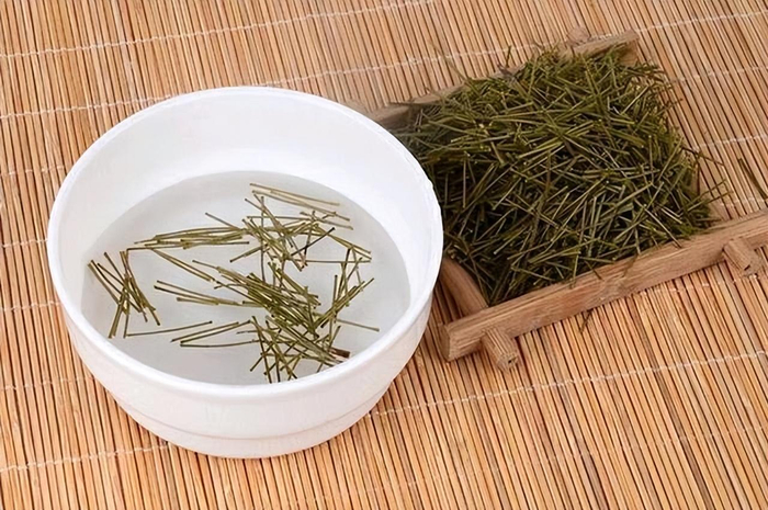 经常用“松针”泡水喝,6个好处或不请自来,但有5个禁忌要牢记|体质|松针茶|茶叶|抗氧化|甘氨酸_新浪新闻