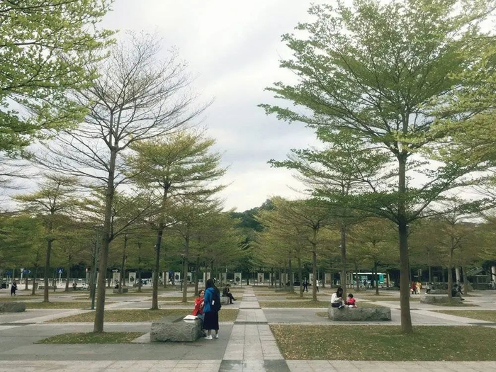 市民广场，休闲的人。