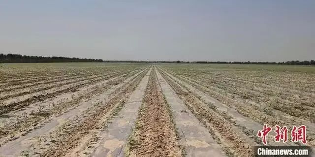 中乌现代节水农业技术示范中心项目地