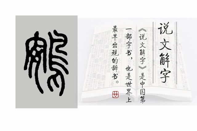 《说文解字》第761课:成语"饮鸩止渴"中的"鸩"是什么?