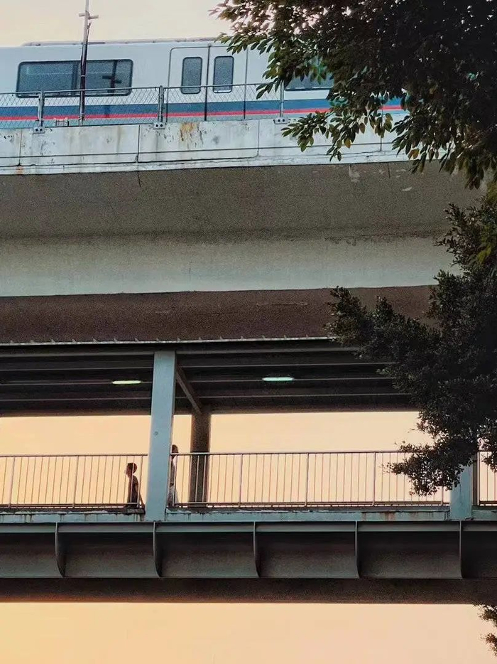 坑口地铁站，伴着夕阳下班回家的人。