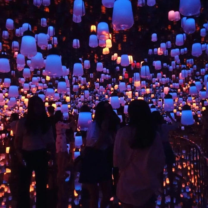 欢乐海岸，teamLab艺术展。