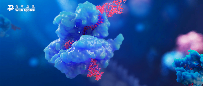 ▲CRISPR基因编辑（图片来源：药明康德内容团队）