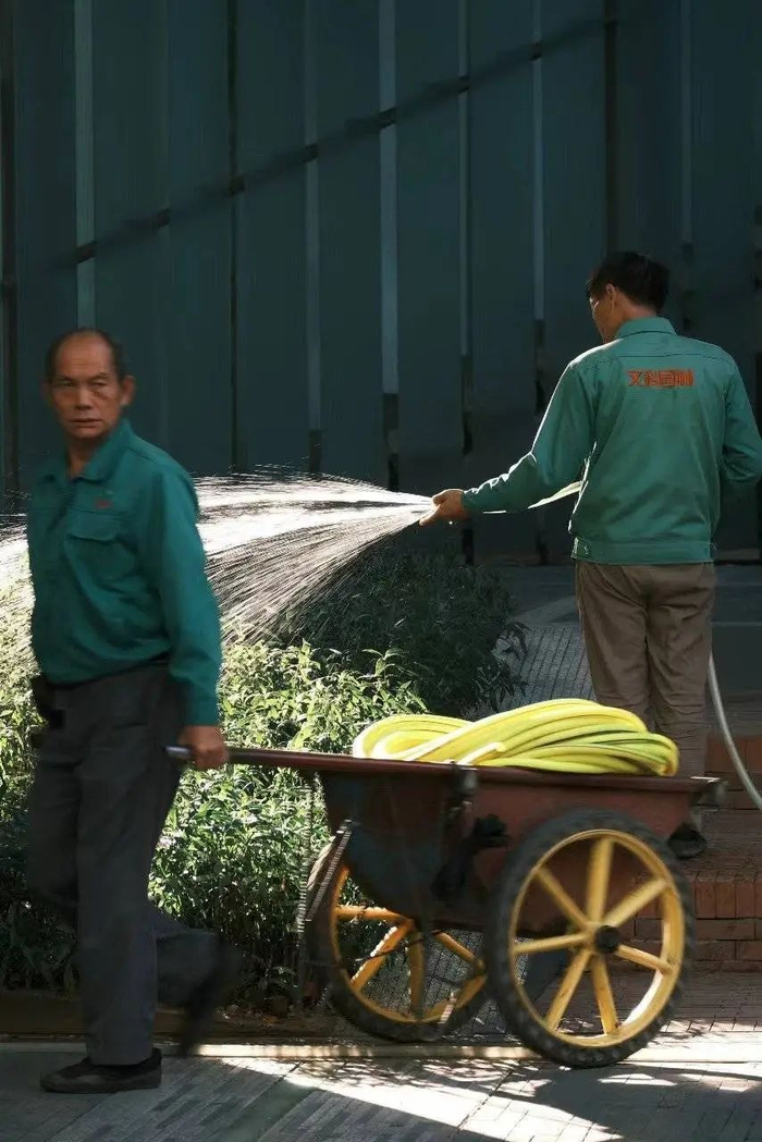 华侨城里，正在给绿化浇水的员工。