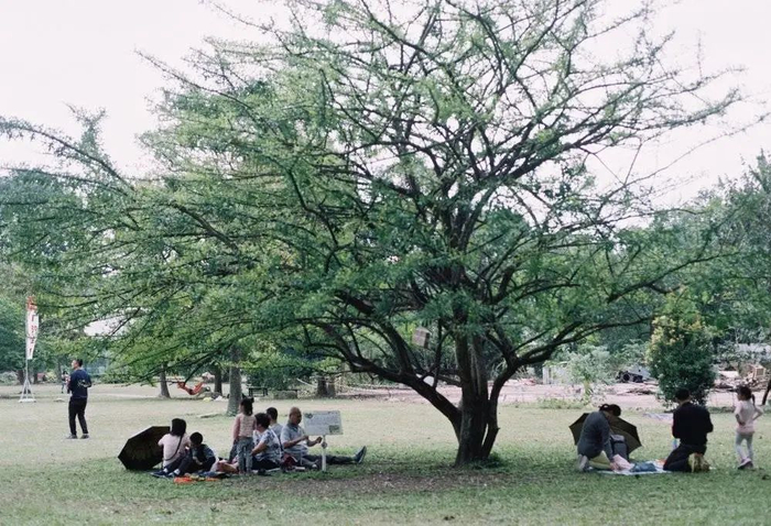 华南植物园内，休闲的人。