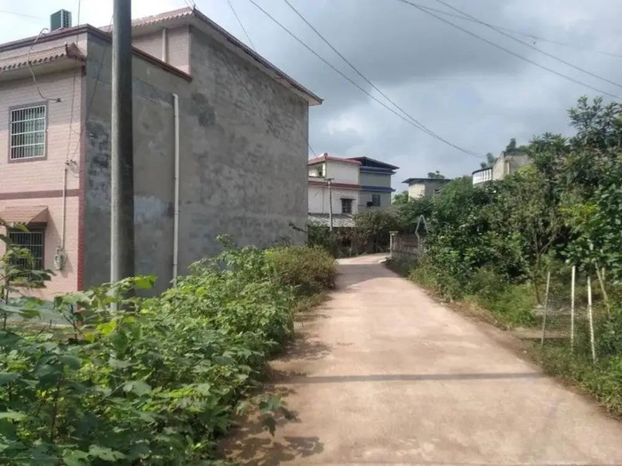 图 | 念秋居住的村庄