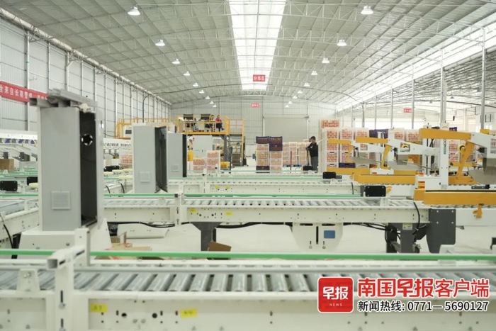 ▲沃柑智能分选设备。