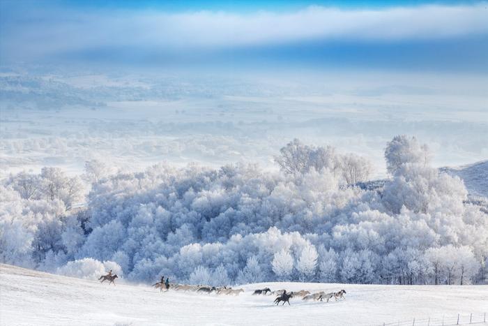 草原冬天雪景描述图片